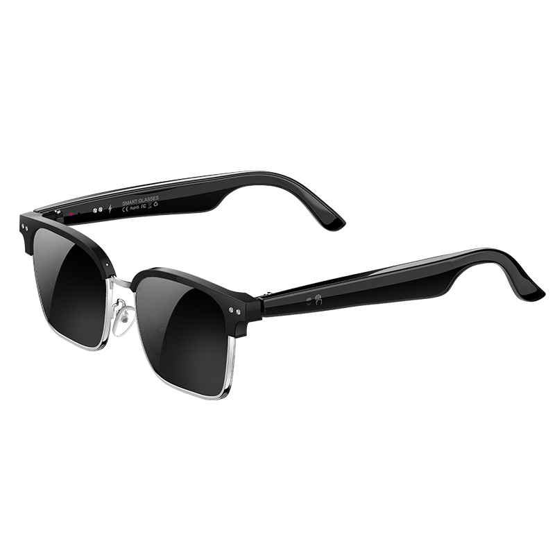 Speaker Enclosure - W100D AI Smart Glasses Realtime vertaling