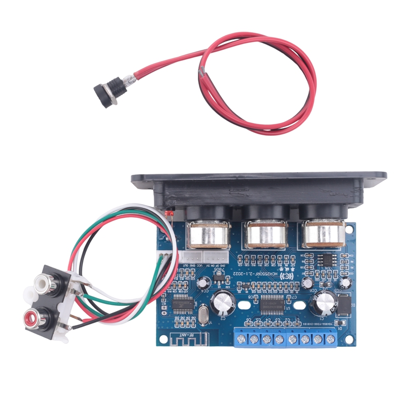 2.1 Kanaals Bluetooth 5.0 Audi - Audio Amplifier Board recensie en prijs