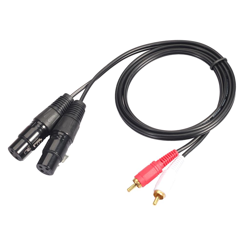 Hoogwaardige XLR naar RCA audi - Rca Cable recensie en prijs