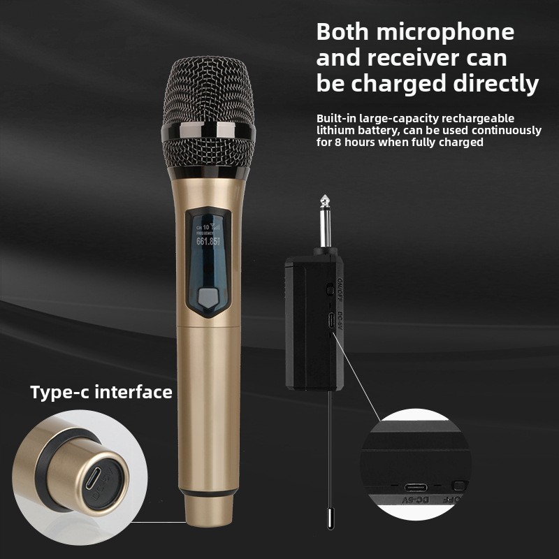 Draadloze microfoon 2 kanalen  - Ribbon Microphone recensie en prijs