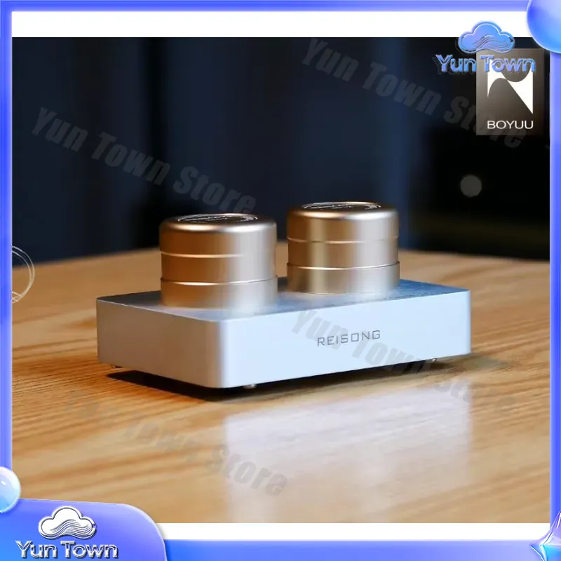 Voor Boyuu BYPT2T voor Reisong - Passive Preamp recensie en prijs