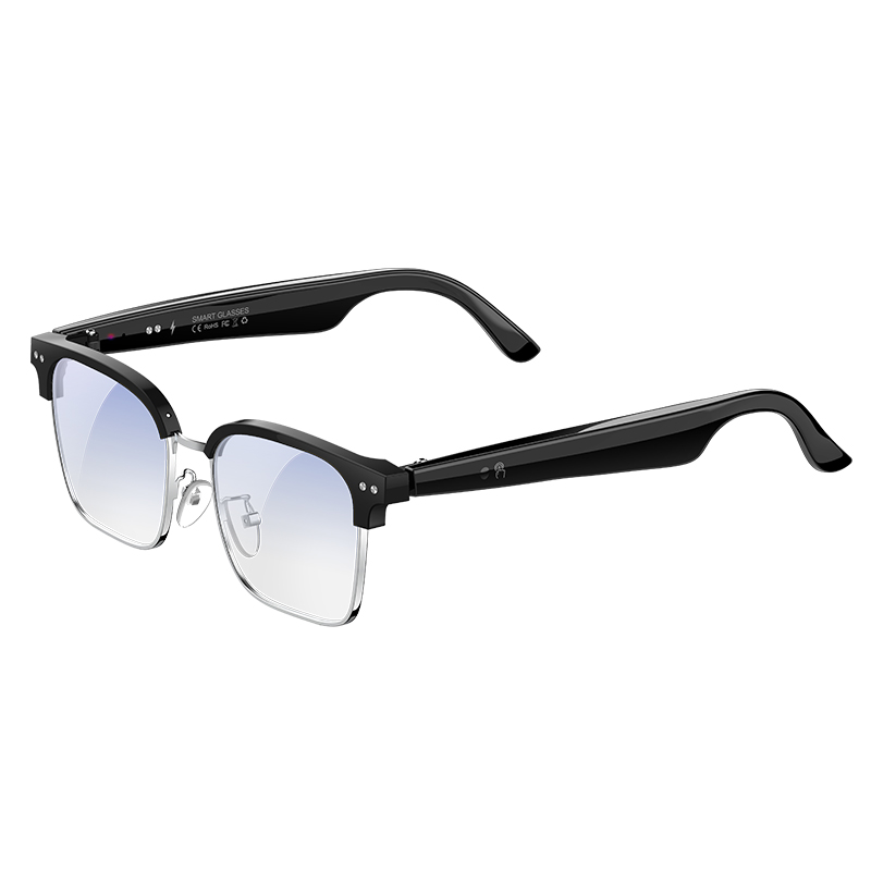 W100D AI Smart Glasses Realtim - Speaker Enclosure recensie en prijs