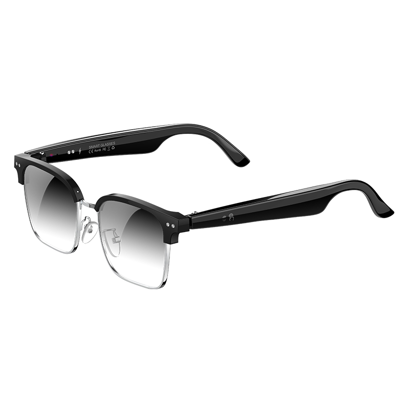 W100D AI Smart Glasses Realtim - Speaker Enclosure recensie en prijs