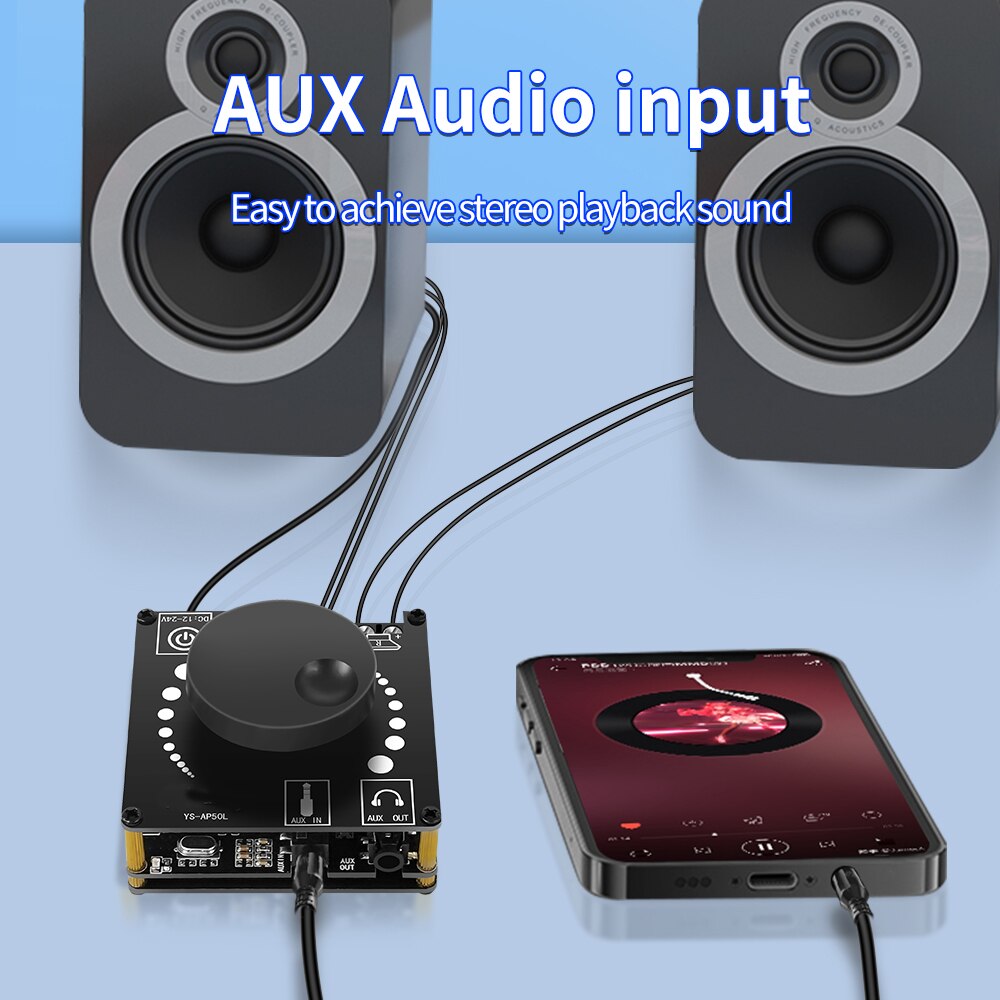 Eindversterker Board Stereo Di - Hifi Amplifier Board recensie en prijs